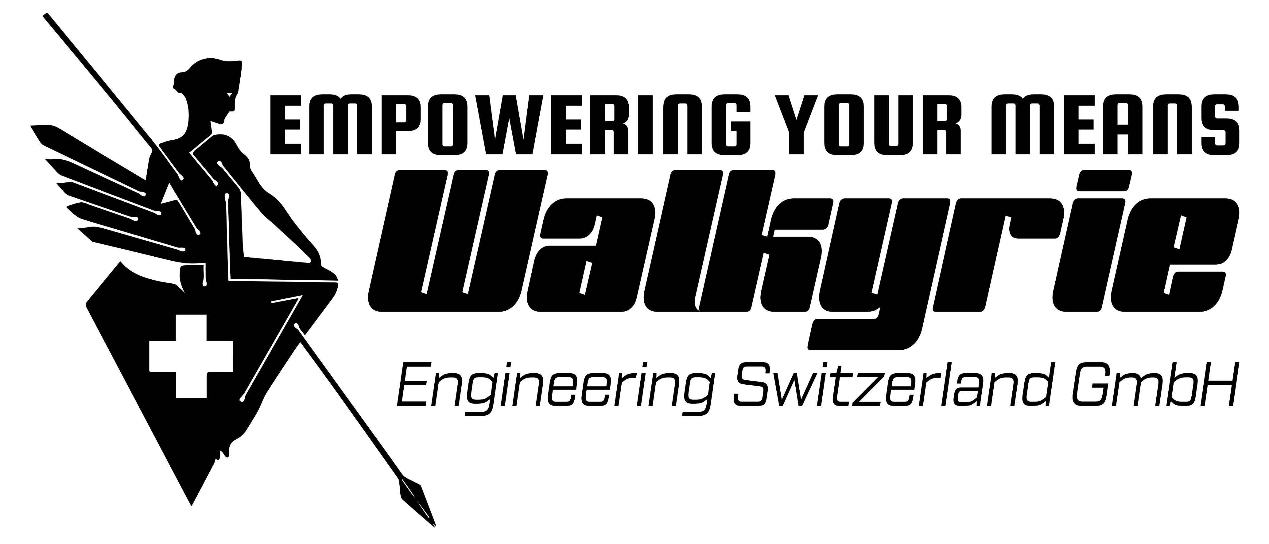 Air Paris logo